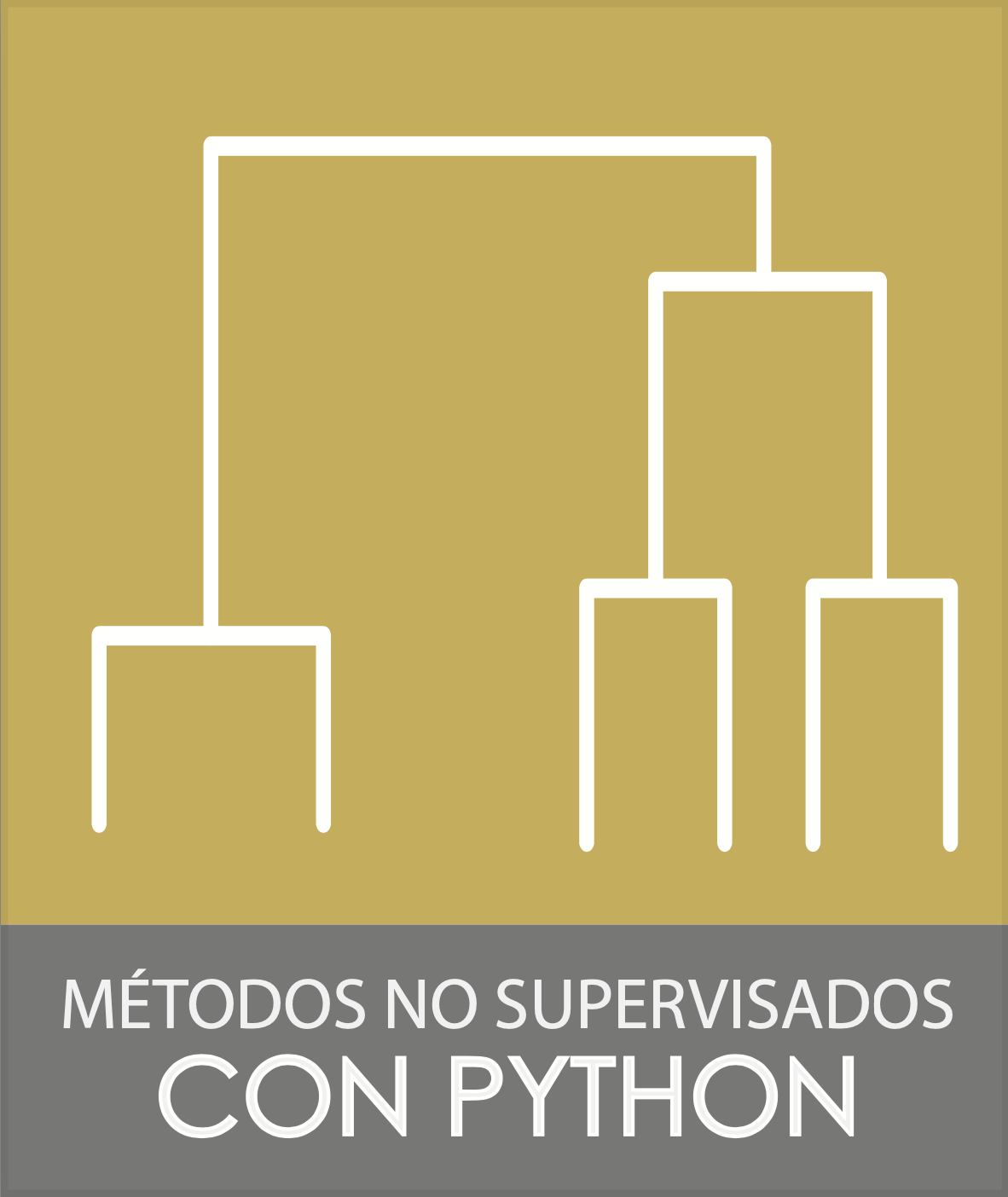 ML2000 - Métodos No Supervisados en Python